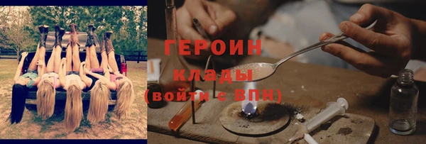 дурь Бородино