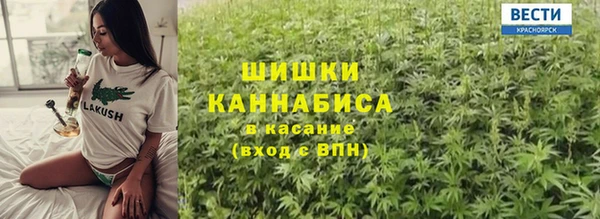 дурь Бородино