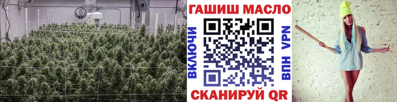 ссылка на мегу tor  Дудинка  ТГК жижа  где купить  
